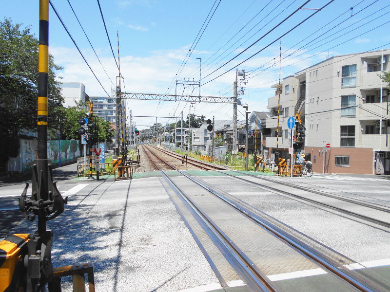 実物の光景 実物の光景