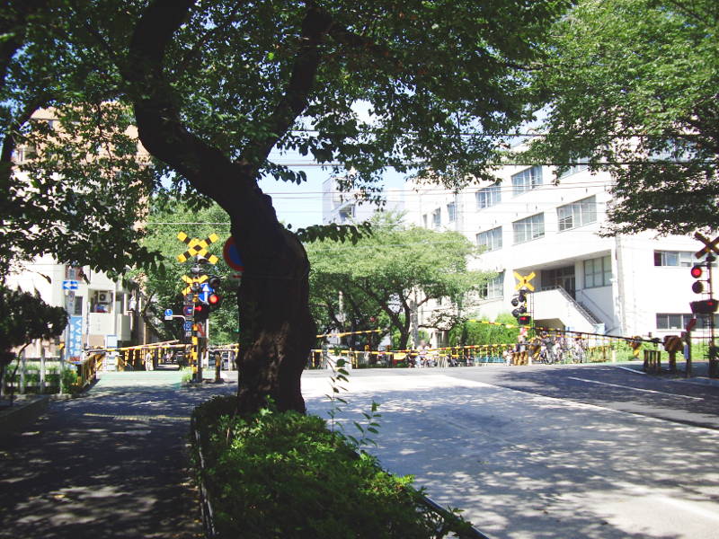 実物の中野通りの踏切 実物の中野通りの踏切