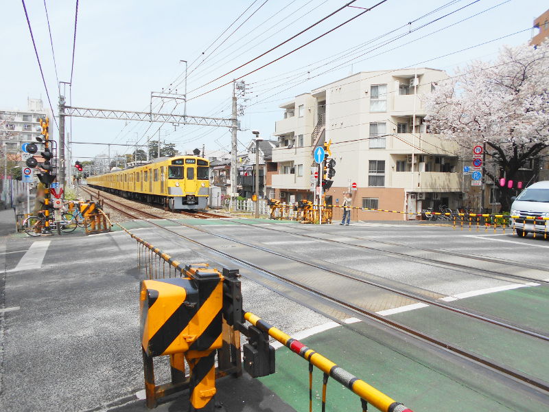 実物の同じアングル 実物の同じアングル