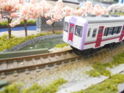 春の秋田リレー号