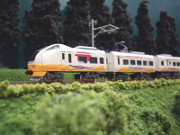 特急「いなほ」