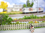 秋の信州の女子旅1