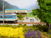 菜の花と大糸線1