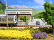 菜の花と大糸線2