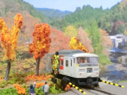 紅葉と温泉特急