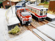 東武SL「大樹」と6050型