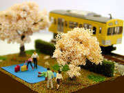 西武線沿線でお花見