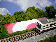 西武秩父線と芝桜