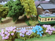 江ノ電とあじさい