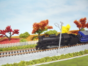 秋のSL観光列車