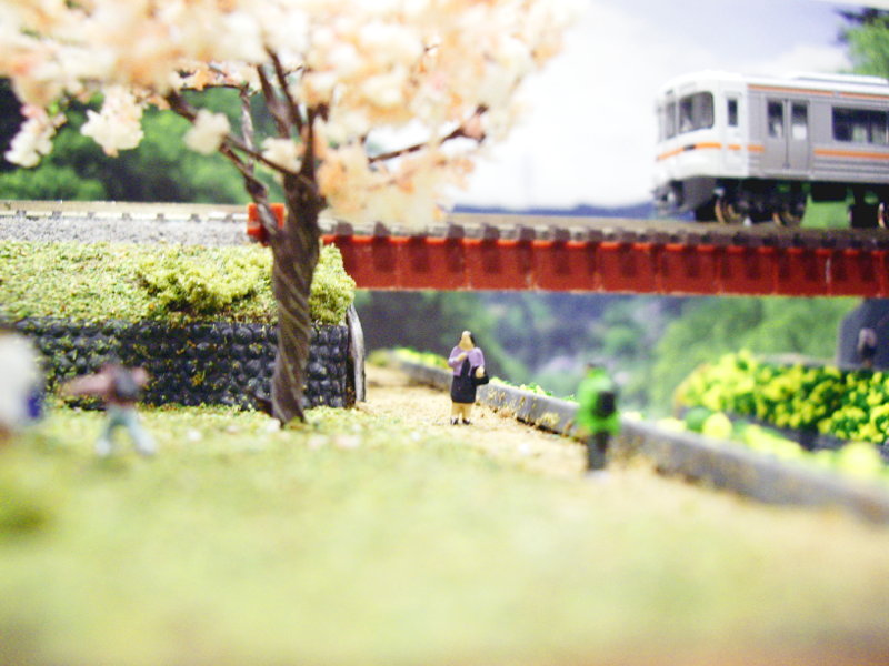 桜と花見客 桜と花見客