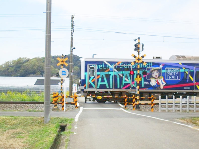 実物の光景 実物の光景