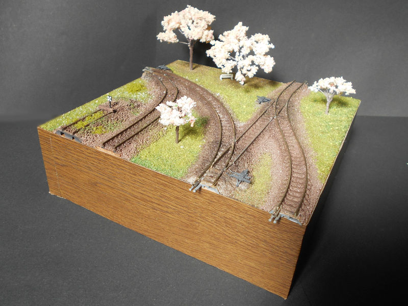 「桜の木の下で」モジュール全景 「桜の木の下で」モジュール全景