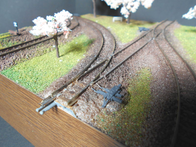 ポイントはダミーです ポイントはダミーです