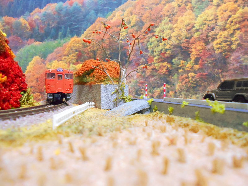 にっぽんの秋★ にっぽんの秋★