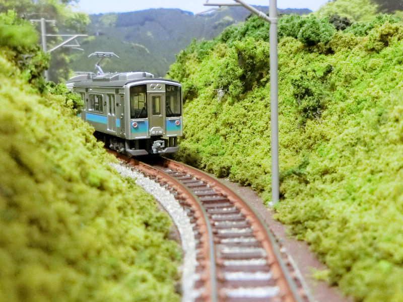 ひょっこり顔を出した普通列車 ひょっこり顔を出した普通列車