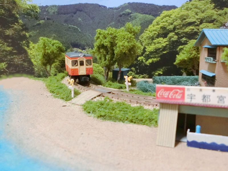 さぁ、泳ごうぜぇ~! さぁ、泳ごうぜぇ~!