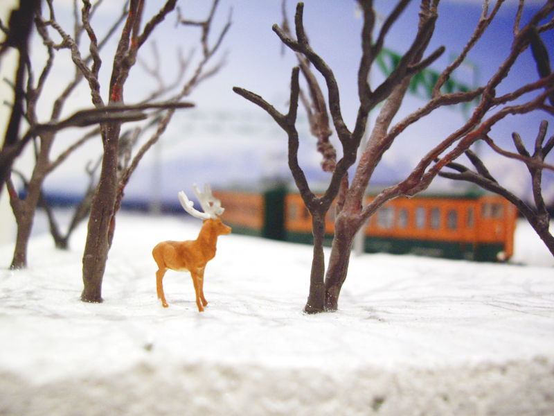 鹿さん、列車を見て何を想う… 鹿さん、列車を見て何を想う…