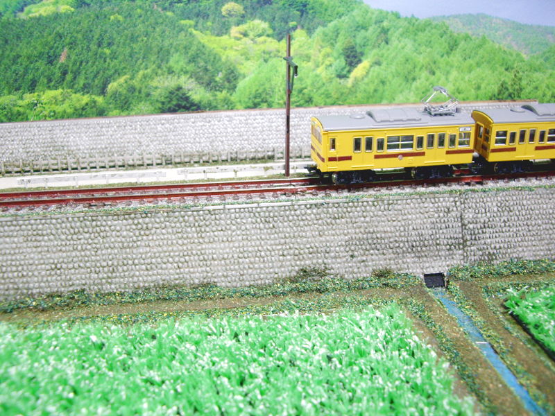 ローカルな光景 ローカルな光景