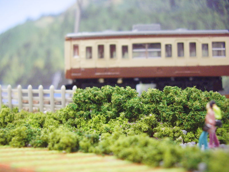 あぁ、行っちゃった…! あぁ、行っちゃった…!