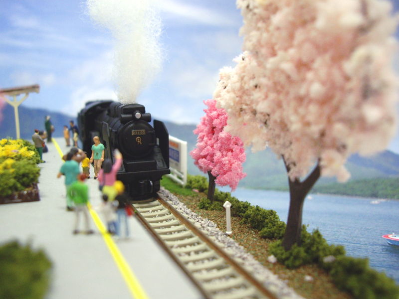 春の花とSL 春の花とSL