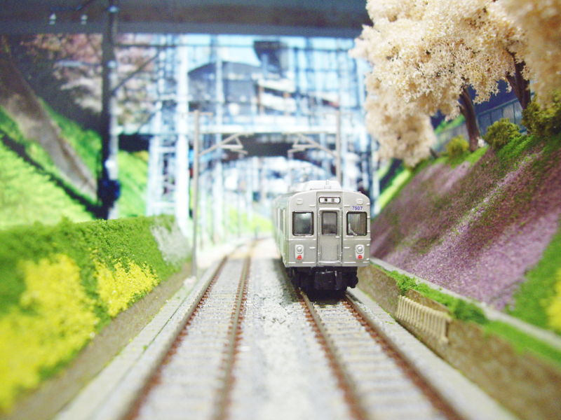 春の花と池上線 春の花と池上線