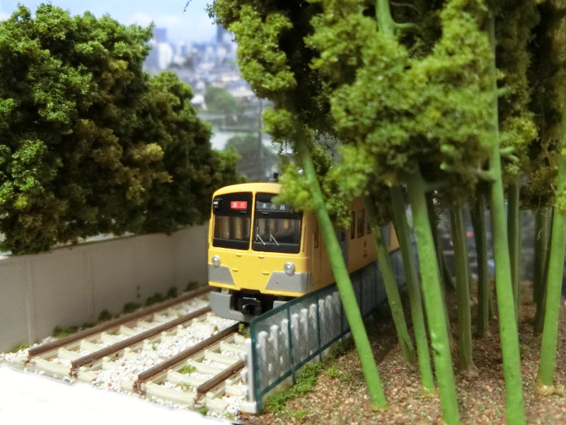 線路脇の竹林です 線路脇の竹林です