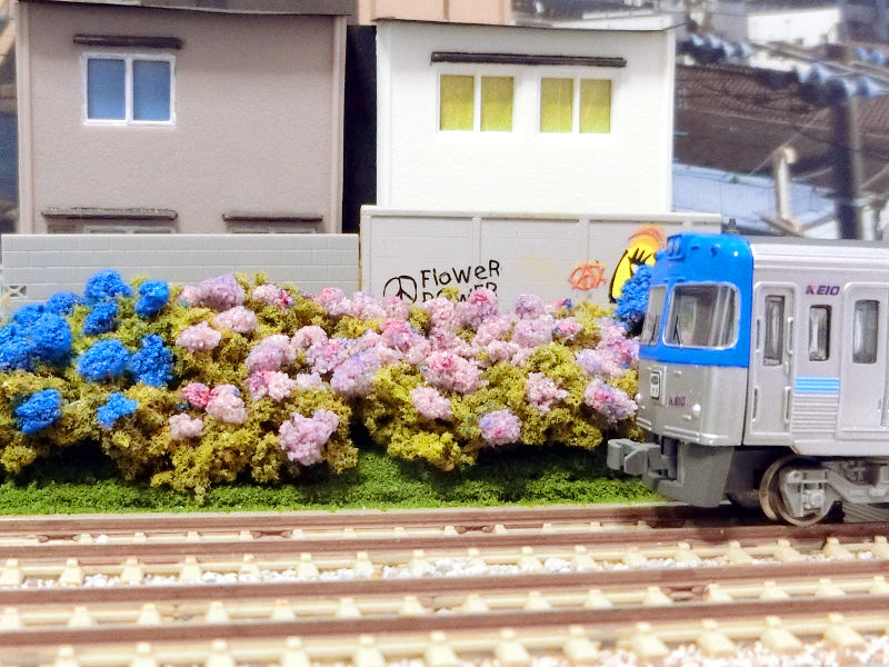 あじさいと井の頭線 あじさいと井の頭線