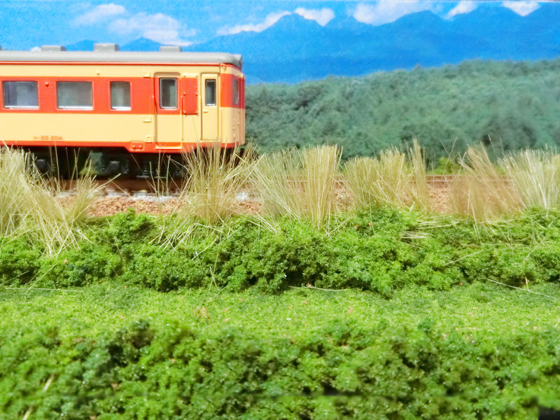 高原列車・急行「アルプス」 高原列車・急行「アルプス」