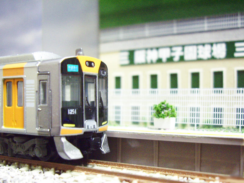 虎はこの景色が一番似合う★ 虎はこの景色が一番似合う★