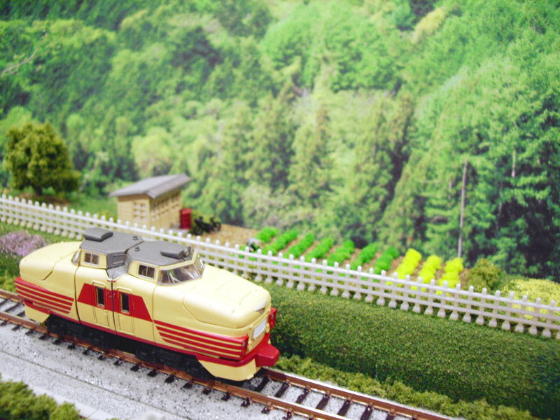 ローカル特急? ローカル特急?