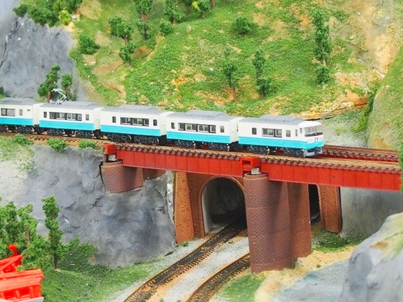 「JR東日本185系スーパービュー踊り子色(ウソ電)」編成全体像 「JR東日本185系スーパービュー踊り子色(ウソ電)」編成全体像