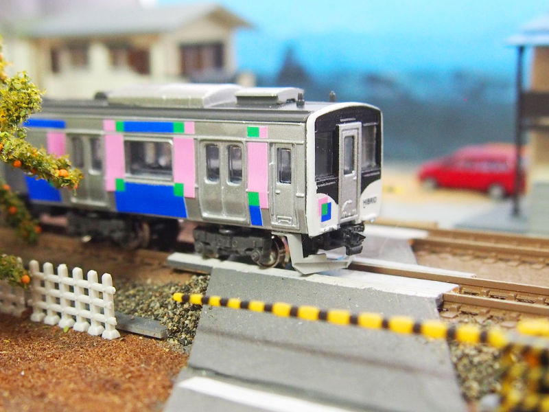 仙台の期待のニューフェイス 仙台の期待のニューフェイス