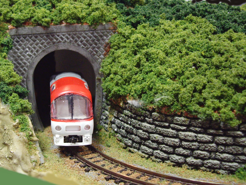 トンネルから顔を出した「エーデル鳥取」 トンネルから顔を出した「エーデル鳥取」