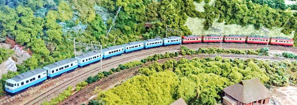 「伊豆急行185系と伊豆箱根鉄道185系(ウソ電)」編成全体像 「伊豆急行185系と伊豆箱根鉄道185系(ウソ電)」編成全体像