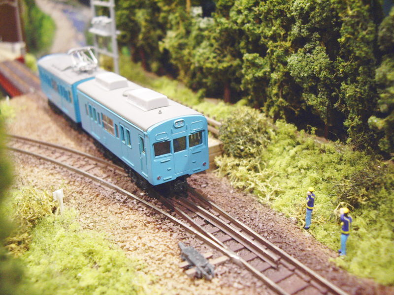 森の中を進む 森の中を進む