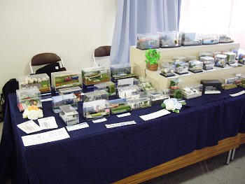 真ん中はジオラマ展示コーナー 真ん中はジオラマ展示コーナー