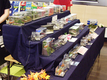 会場右向きにはジオラマ(ワンジオ)のコーナーを。 会場右向きにはジオラマ(ワンジオ)のコーナーを。