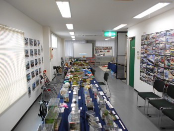 会場はこんな感じ 会場はこんな感じ