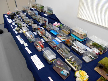 ワンジオコーナー ワンジオコーナー