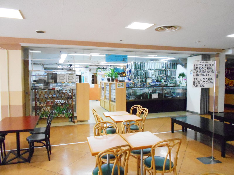 左はライブリースペース和さんのお店だよ 左はライブリースペース和さんのお店だよ