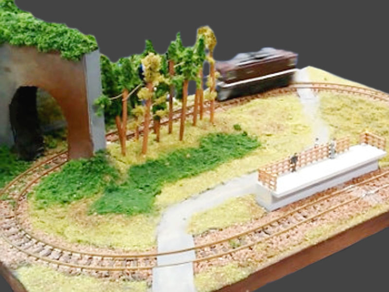 特徴が無いのが特徴 特徴が無いのが特徴