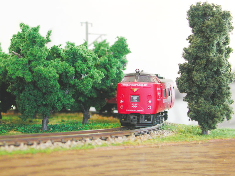 森を行く特急 森を行く特急