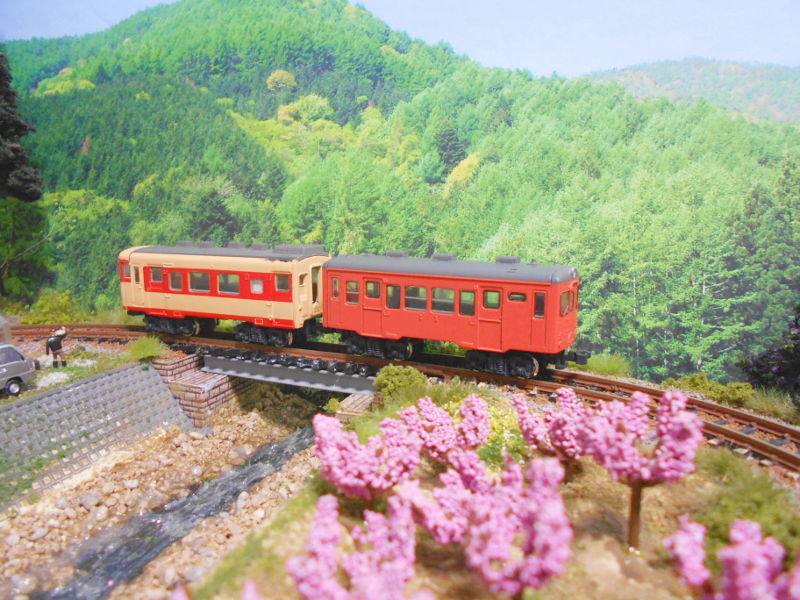 桃が満開 桃が満開