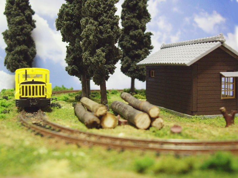 切り株と丸太 切り株と丸太